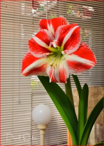 DOI_1280_00004qqq-ww