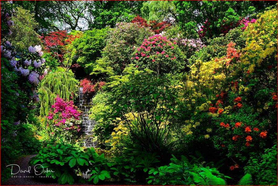 _DOX3486_00031qqq-sss