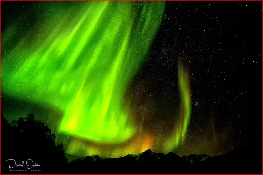 Cover-2-web1000x1500U-100