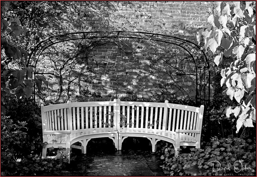 Shaddy-Seat-on-a-Wet-day-copy - Copy