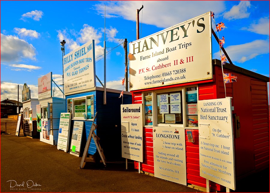 Northumberland_00339