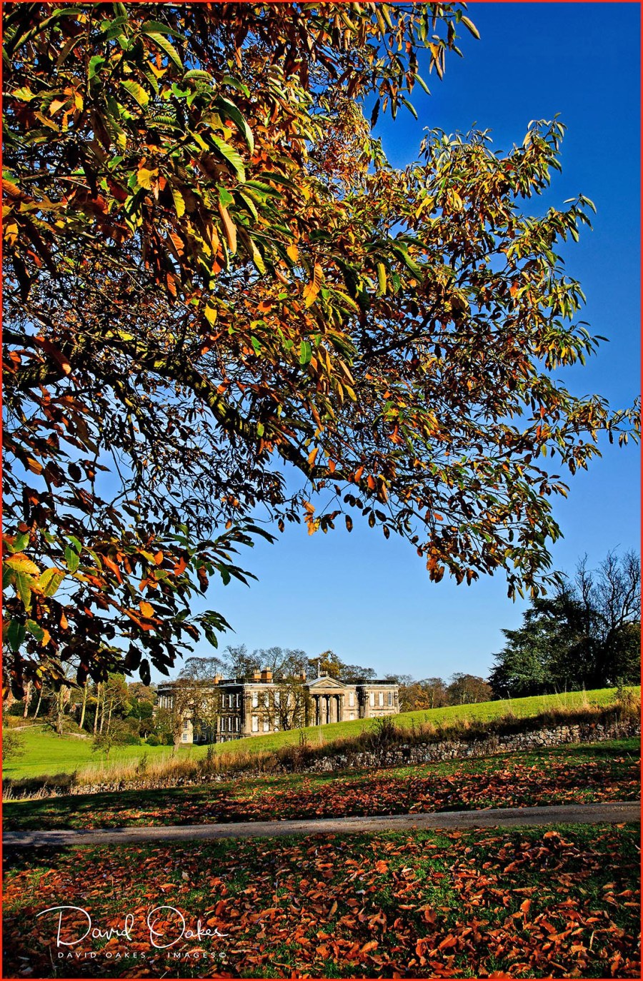 _DSC1976_09_11_09_058Tiff_raw