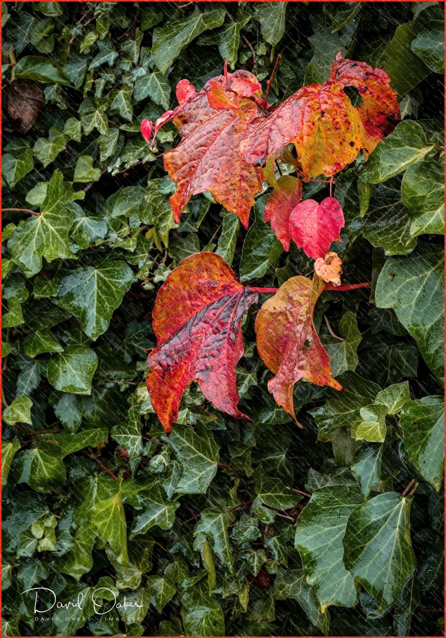 We have had some Rain