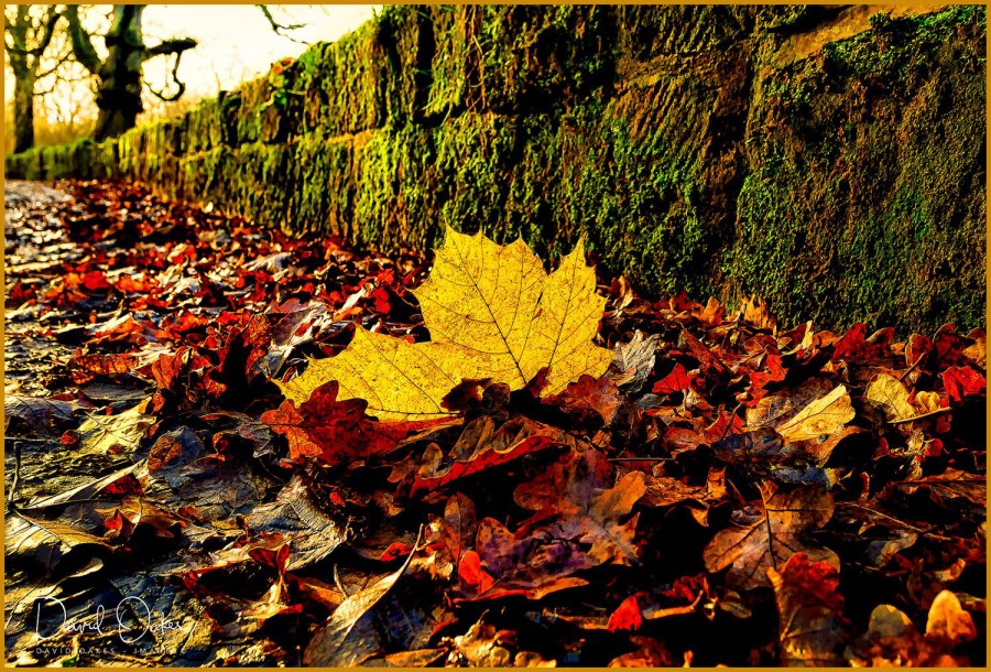 125784890_3584061354993947_8022772024526423489_n