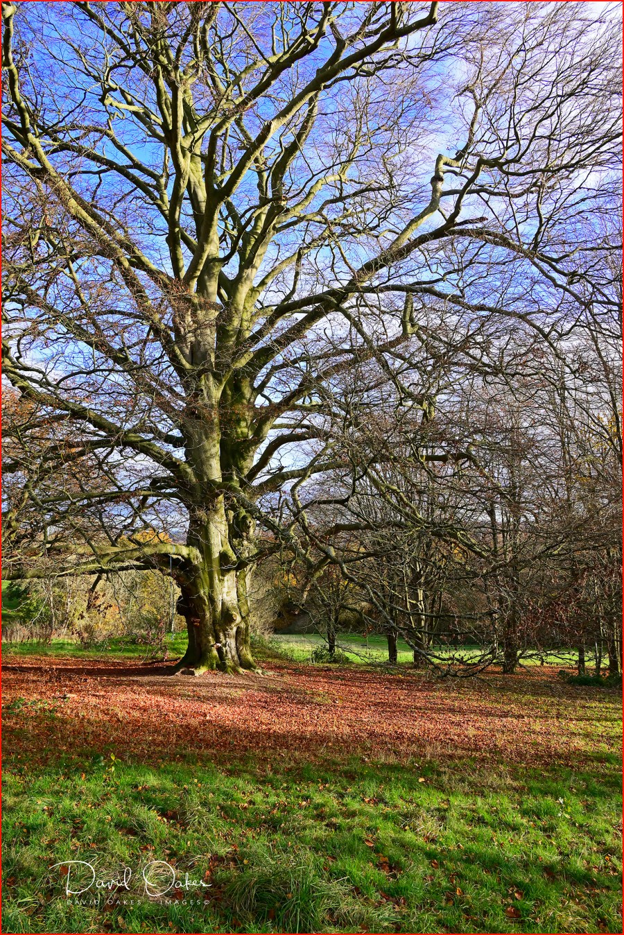 _DSC6089_00016qqq - Copy