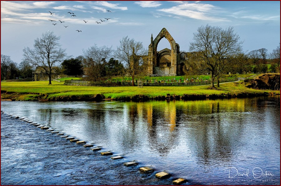 Yorkshire-2010--_0054qqqbb