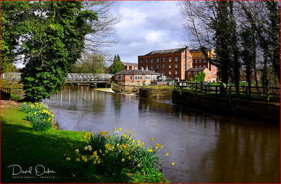 _DOI3932_00006qqq-sss