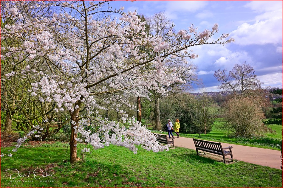 _DOI3935_00009qqqq-sss