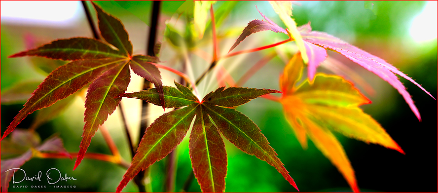 _DOI4525_00034qqqrr-sss