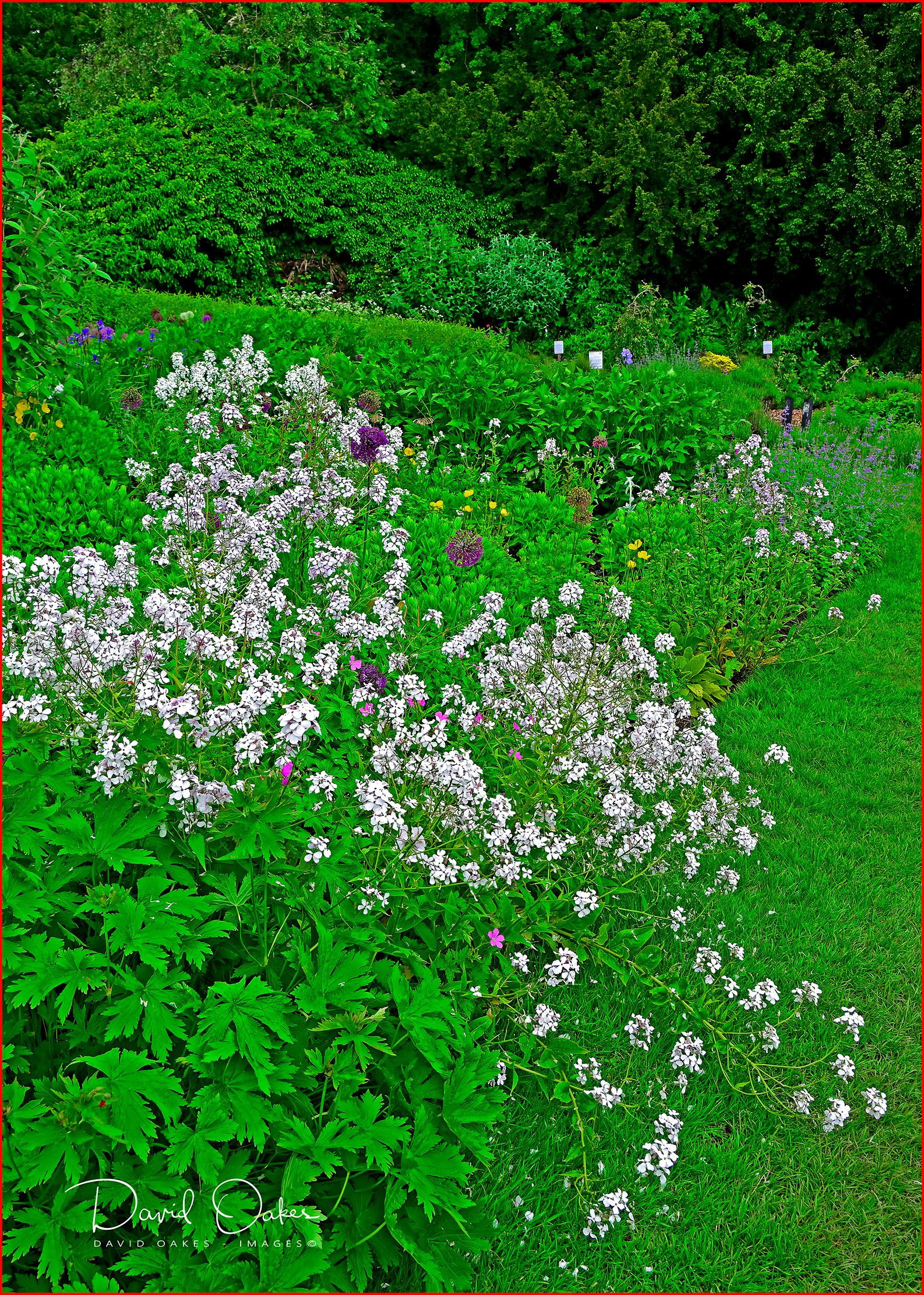 Summer Sun…. then back to Winter – DAVID OAKES – IMAGES.
