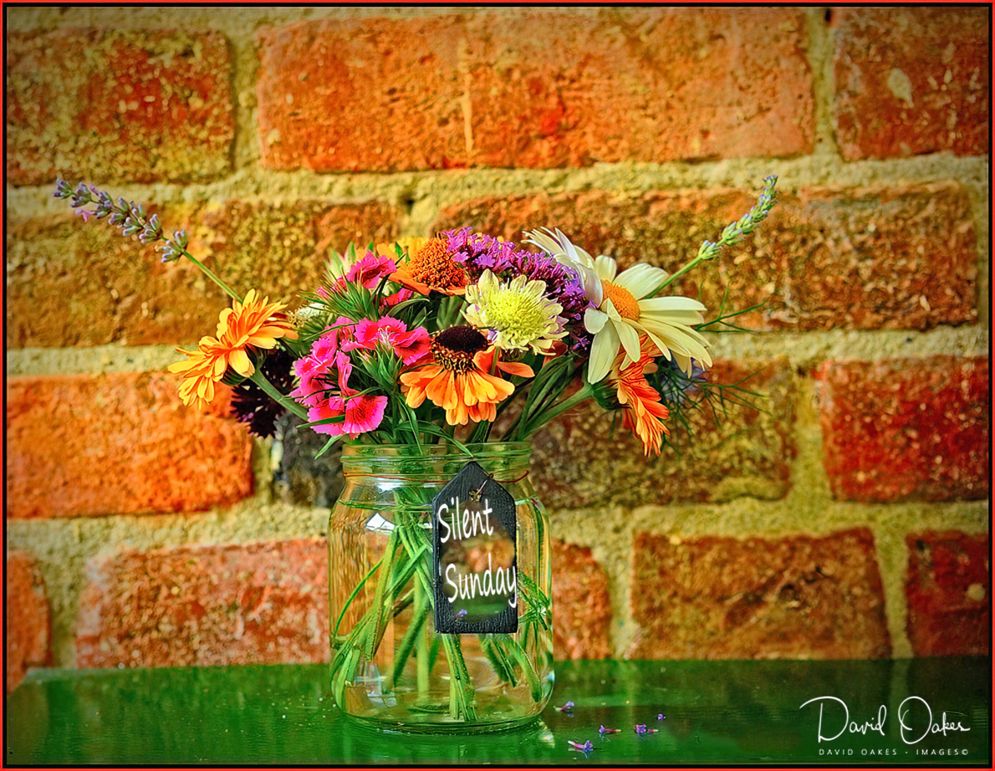 Flowers-from-a-Graden---