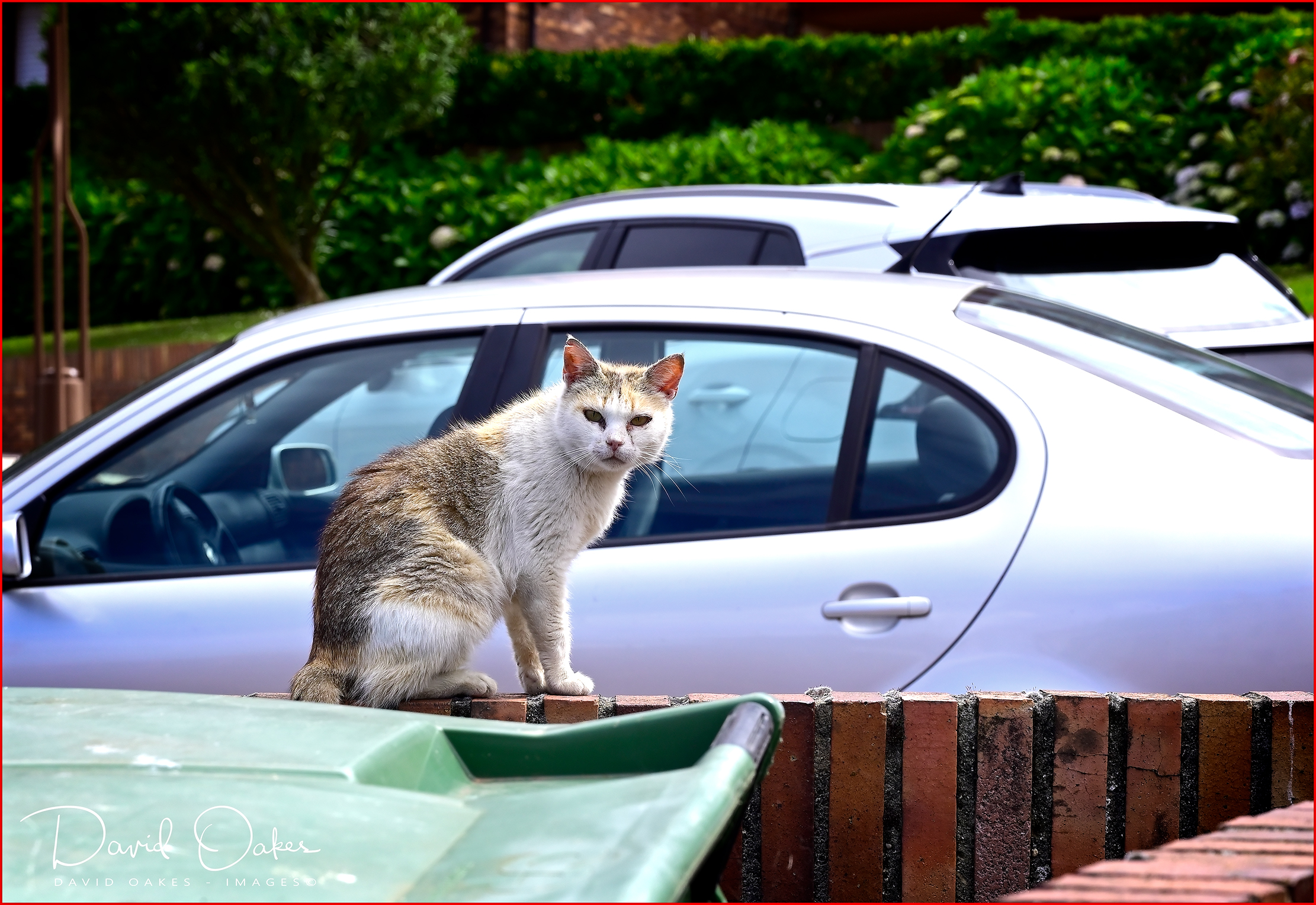 _DOI5104_00127qqq-bs