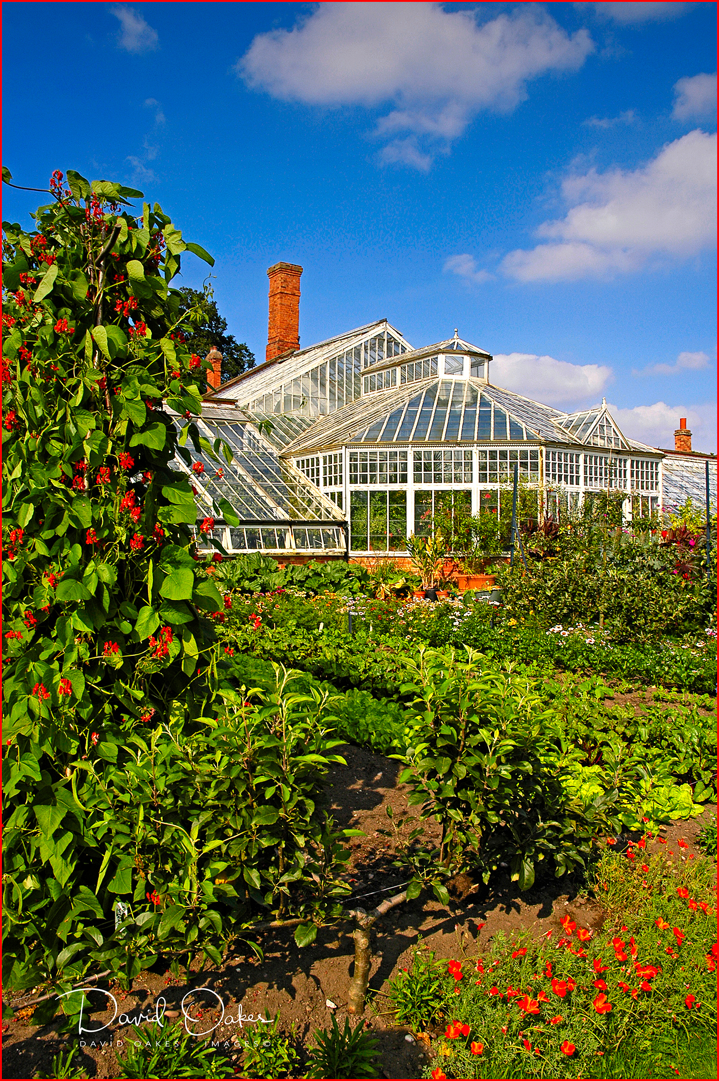 The-Kitchen-Gardens-&amp;-Glass-Houses-@-CLUMBER-PARK-L0105