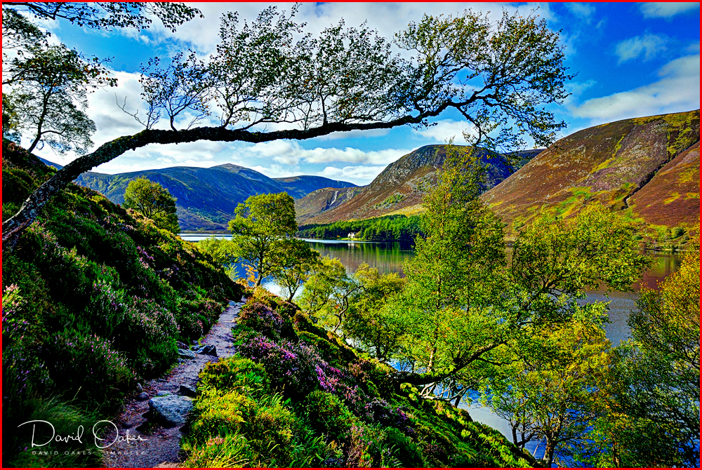 Breamar-_0308-1_2_3_4_5_fused