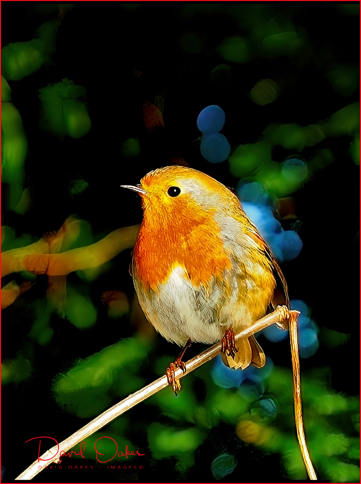Single-Robin